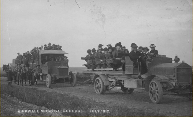 Kirkwall Moss Gatherers, July 1917