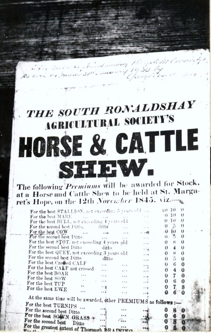 Horse and Cattle Shew