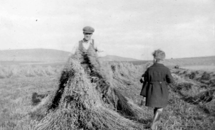 In the stooks
