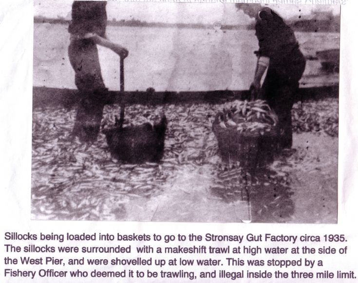 Stronsay Sillock Trawlers