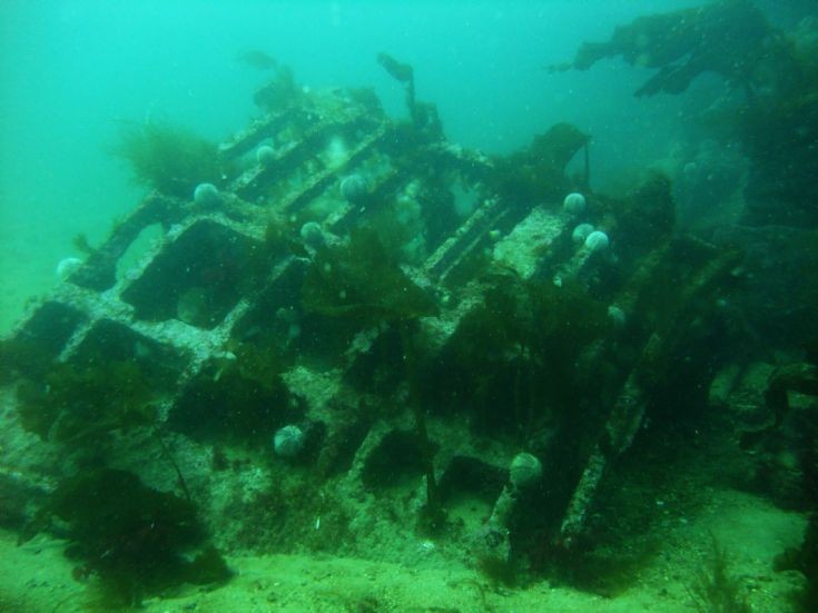 Wreckage of German torpedo boat