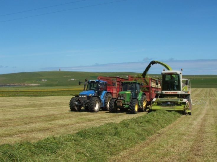 Silaging in Marwick