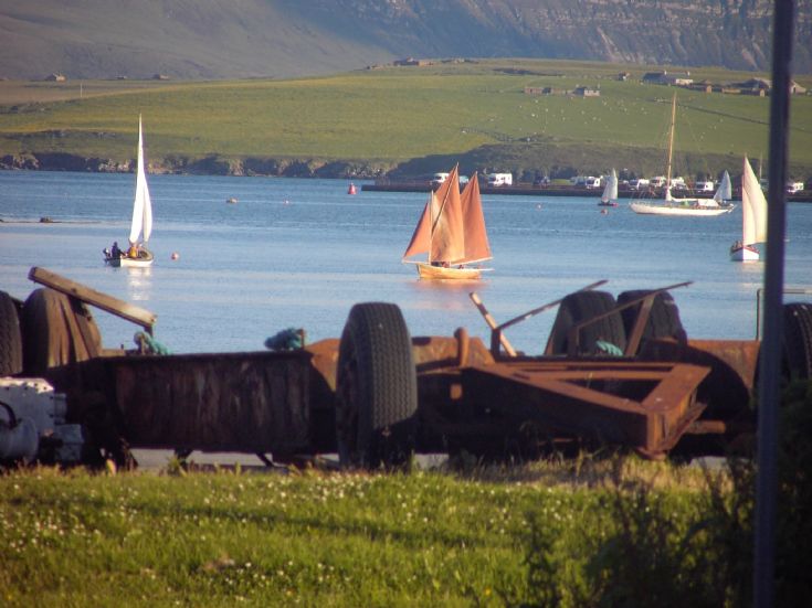 Traditional Yoles in Stromness harbour