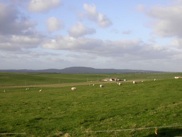 November 2004, Looking NW from Rapness, Westray