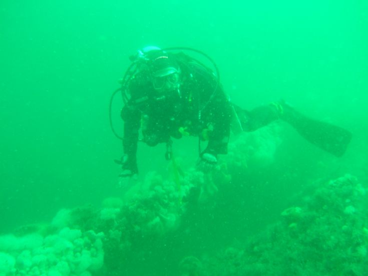 Diver on wreck
