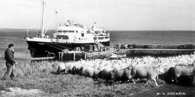 Orcadia at Eday pier