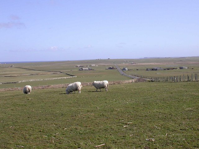 April 2006, looking towards Skelwick and Rapness