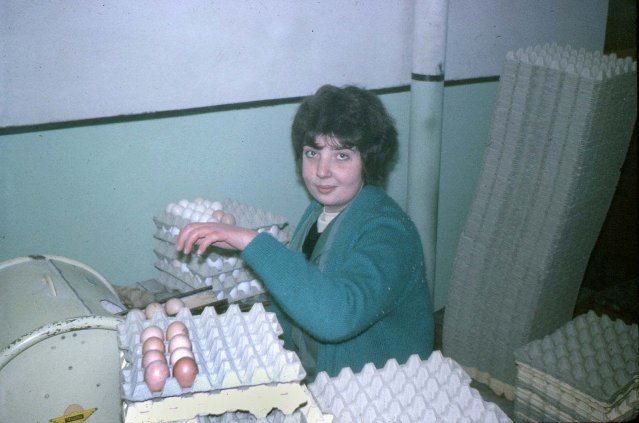 Ruby Smith at work in the Egg Packing Station