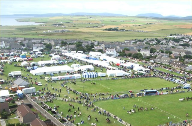 Detail of County Show from a kite