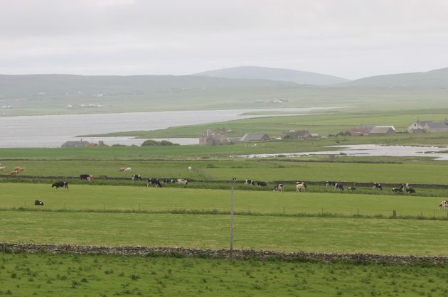 June 2004, looking SE from Sandwick