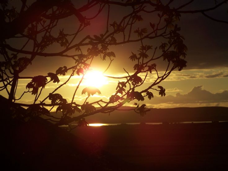 Sunset over Harray Loch through a tree