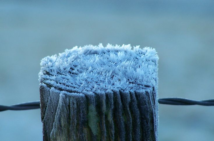 Frosty fence post