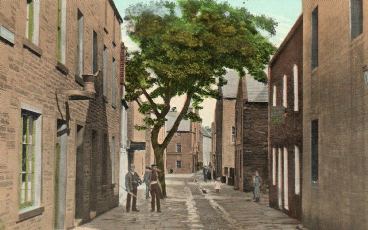 Postcard - Albert Street Kirkwall