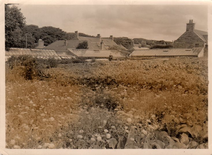 Gardens at Willow Road