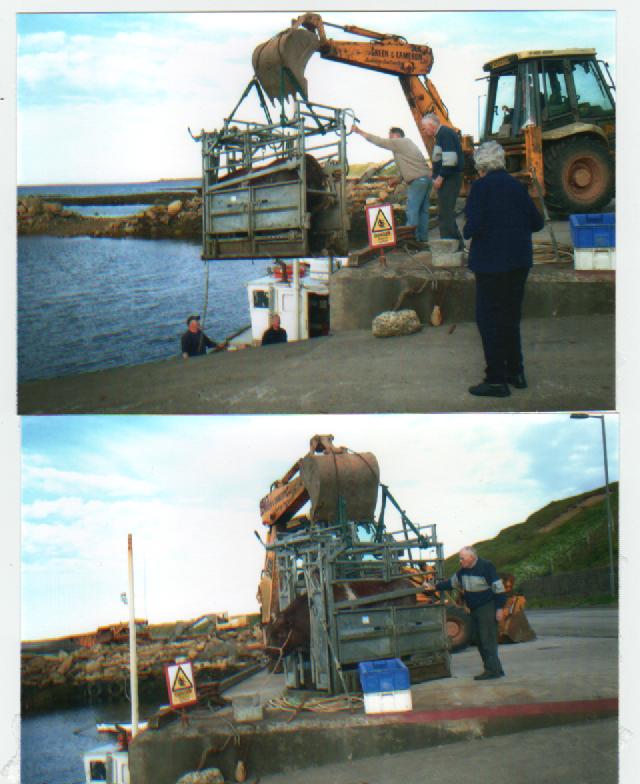 Bull Landing in Caithness