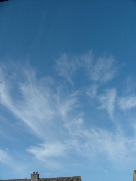 Mares Tails