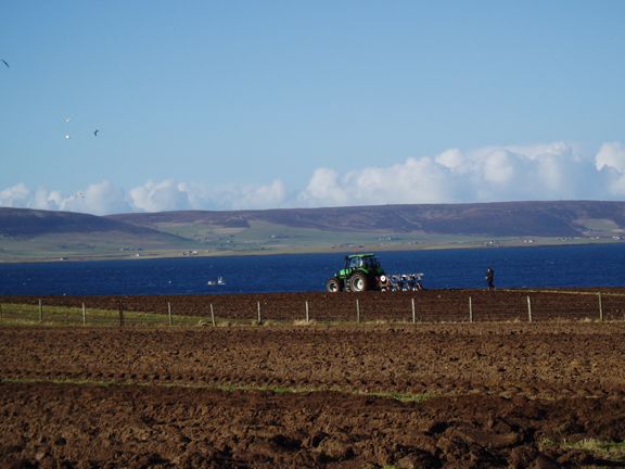 County Ploughing Match 2