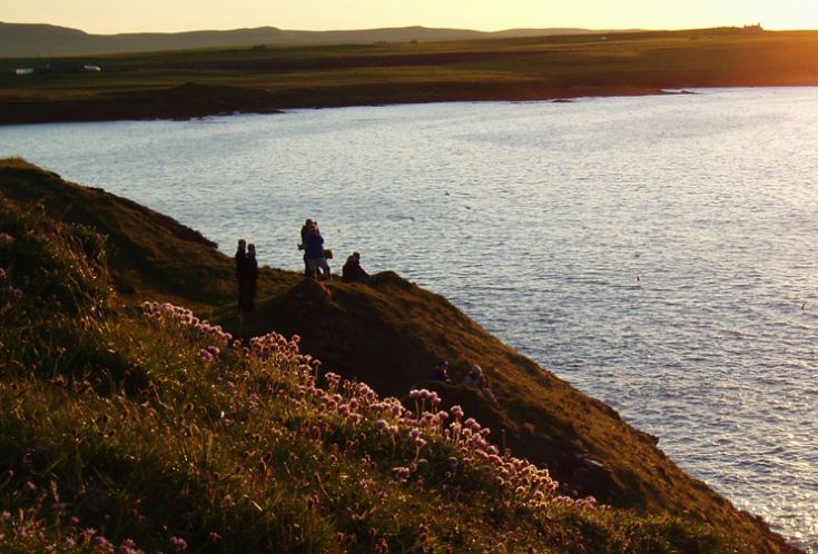 Puffin watching at sunset, Westray
