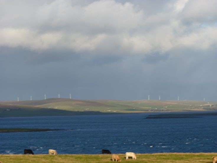 Wind turbines on skyline