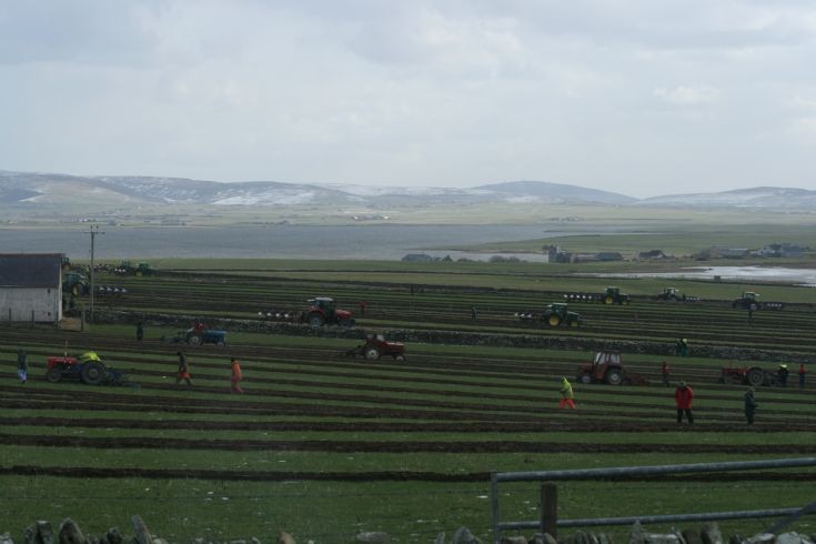Ploughing match at Kierfiold and Linday