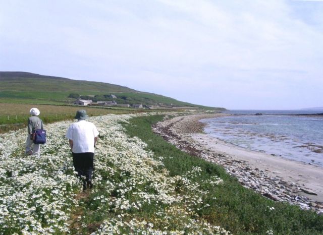 On the Westness Walk, Rousay
