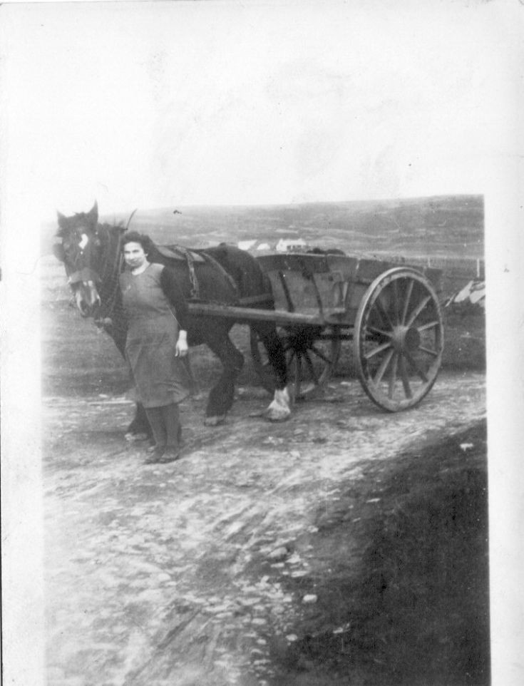 Cecilia Sclater, Kebro, with horse and cart
