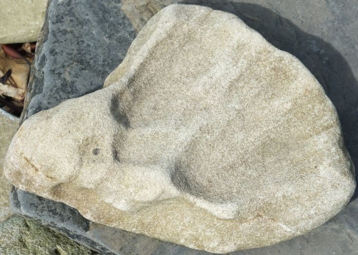 Interesting stone