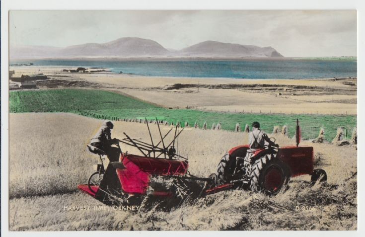 Harvest Time, Orkney postcard