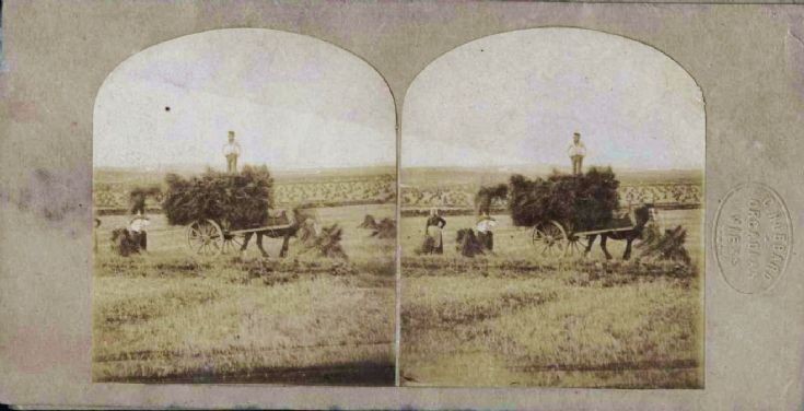 Hubbard stereoscopic view