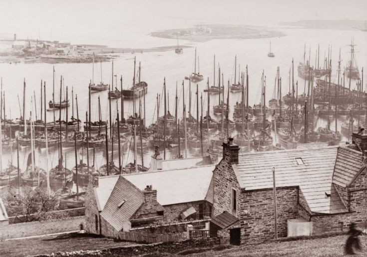 Stromness harbour with herring fleet. ca 1900
