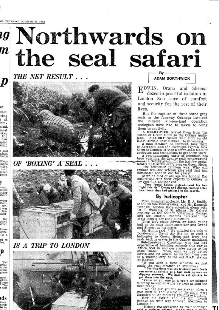 London Zoo seal-acquisition project #2
