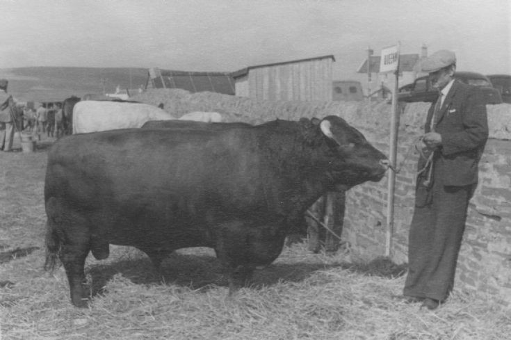 Dounby Agricultural Show 1956 (2/6)