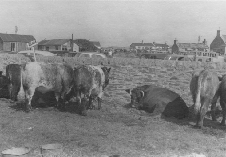 Dounby Agricultural Show 1956 (6/6)