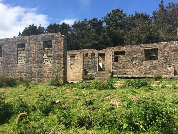 Wartime buildings in the woods at Lyness