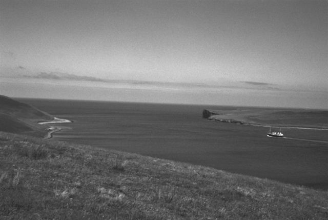 Calf Sound from Vinquoy, Eday