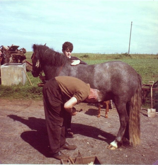 Horse shoeing at Roma, Holm