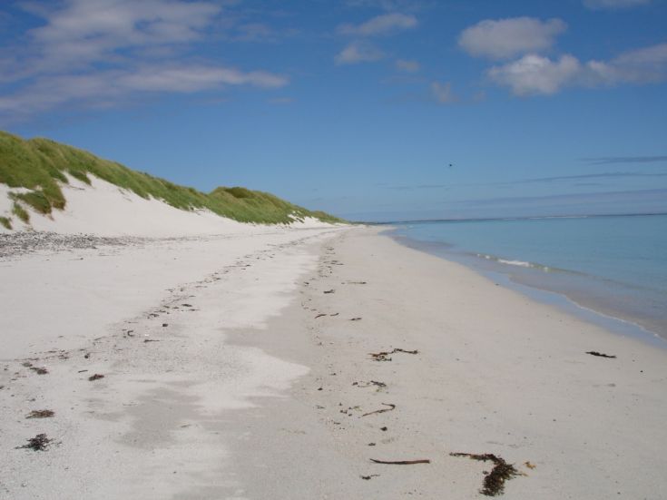 Looking North East along Cata Sands