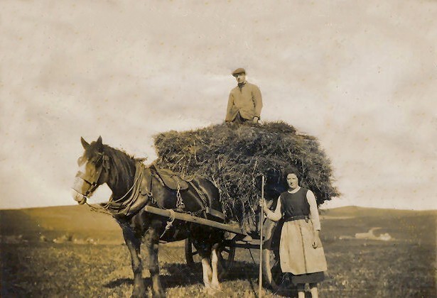 Loading sheaves onto a horse-drawn cart