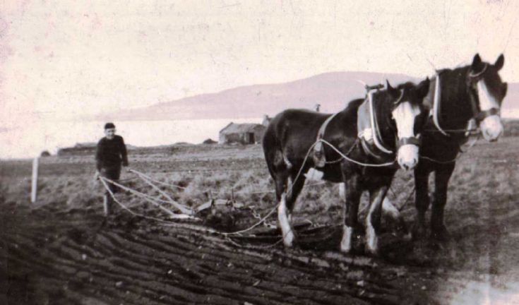 Ploughing in Egilsay