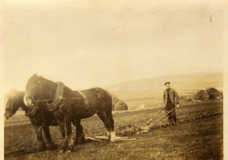 Grandad plooan, at the Burnhouse Longhope