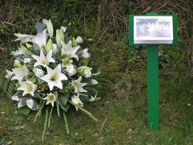 Remembering Walliwall plane crash