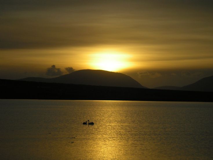 Swans in sunset, Stenness Loch