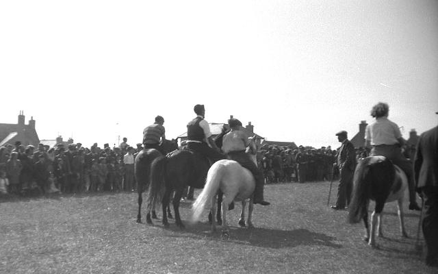 1947 County Show 1/3