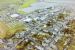 Kirkwall from the air